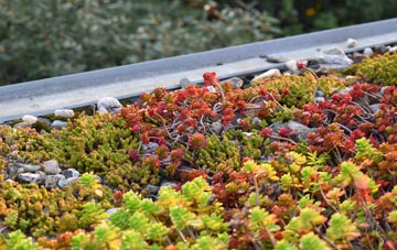 the cost of Plumb Bridge green roof installation