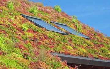 Plumb Bridge living roof systems