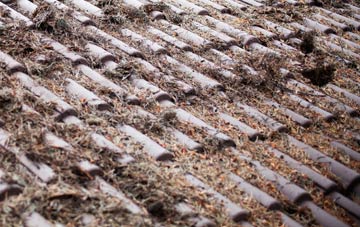 Plumb Bridge roof cleaning companies