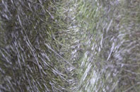 Plumb Bridge fibreglass roof work